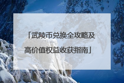 武陵币兑换全攻略及高价值权益收获指南